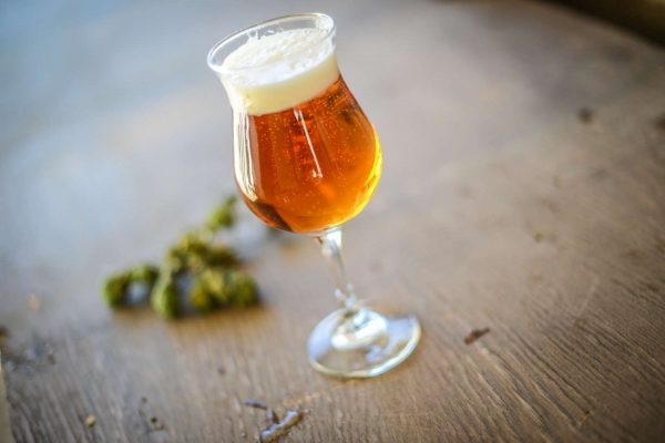 gold ipa beer in tulip glass
