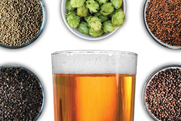 gluten-free-homebrewing-beer-1440