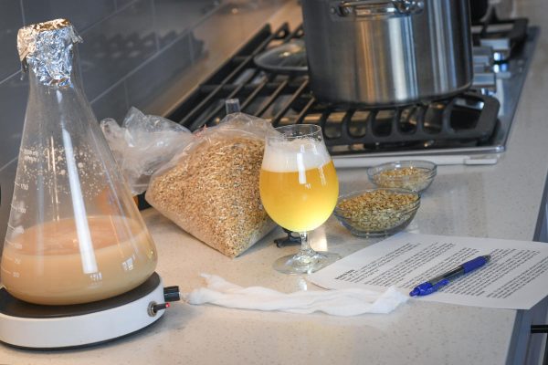 a beer alongside homebrewing equipment in kitchen