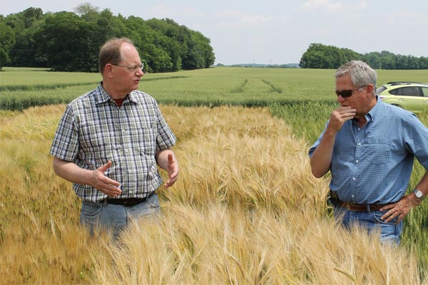 two men in a barley field