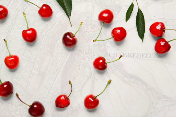 cherries with stems