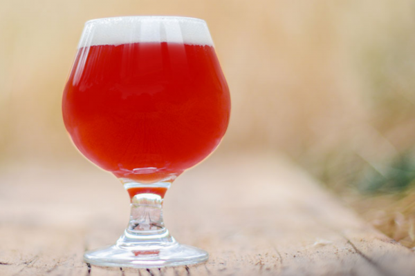 Sour Cherry Cider