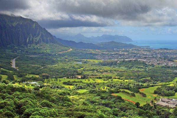 MJ22-zymurgy-magazine-featured-beer-hawaii-homebrewing-600x400-1