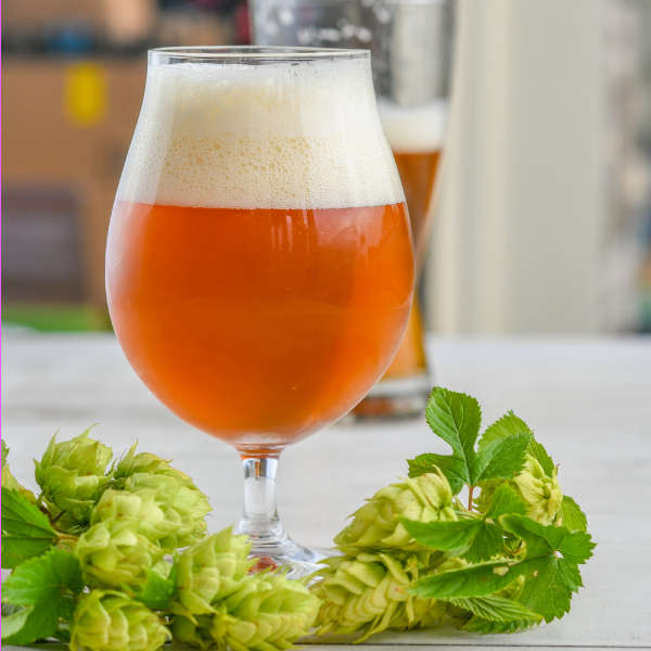 beer-with-hops