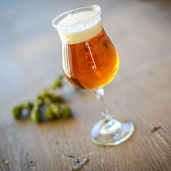 homebrew-ipa-with-hops