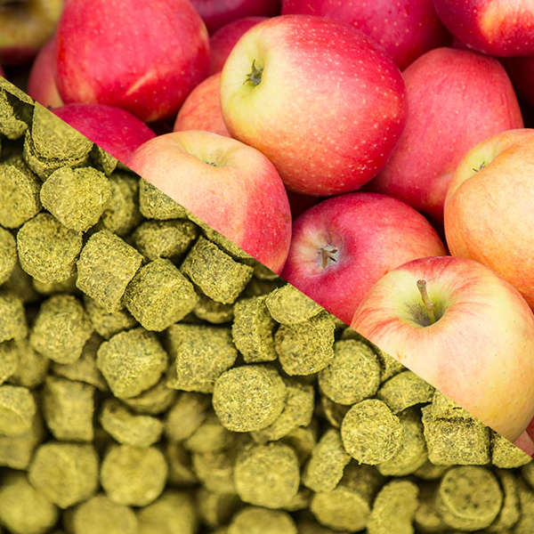 hops-and-apples-cider