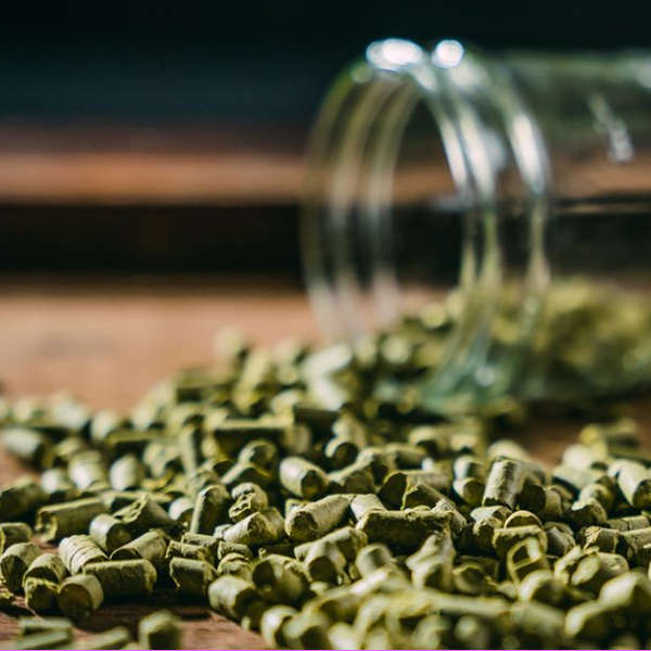 jar-of-hop-pellets-for-homebrewing