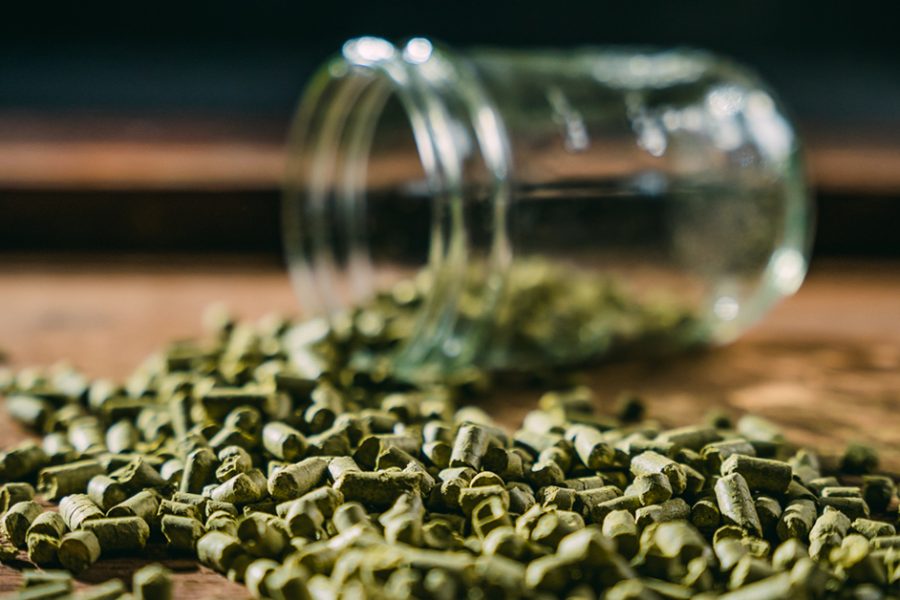 ych-pellet-hops-1