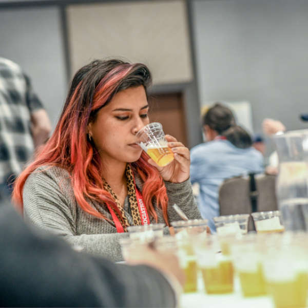 world beer cup judge