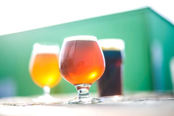 assorted beers in glasses