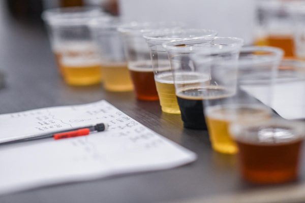 beer evaluation