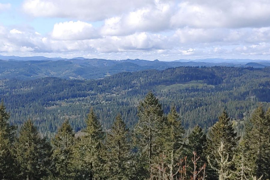 spencer butte