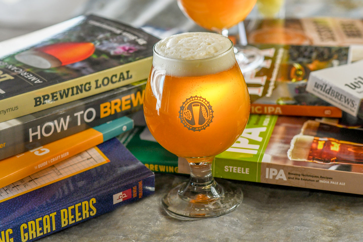 Choose Your Own Brewventure, Glass of Beer photographed with homebrewing books.
