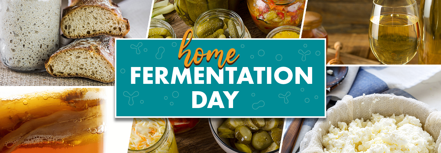 home fermentation day hero