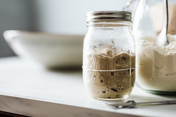 sourdough starter mother