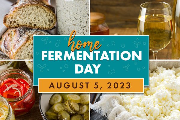 home fermentation day 2023