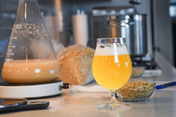 beer, homebrew ingredients, and a yeast stir plate