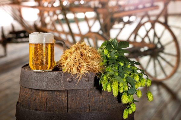 mug of beer in a farm scene