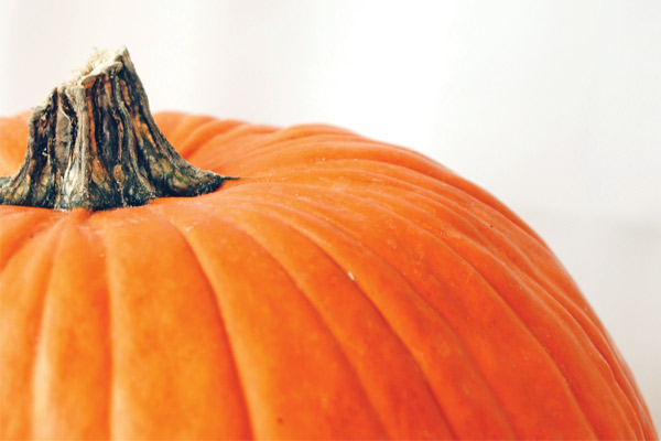 Top of a pumpkin