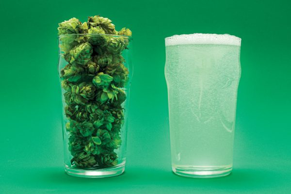 Two glasses, one filled with hops and the other with seltzer