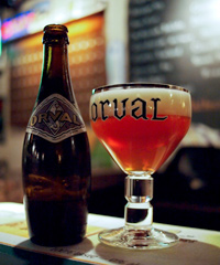bestbeers-5