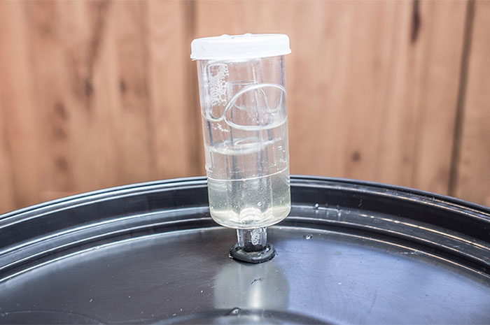 Homebrewing Fermentation
