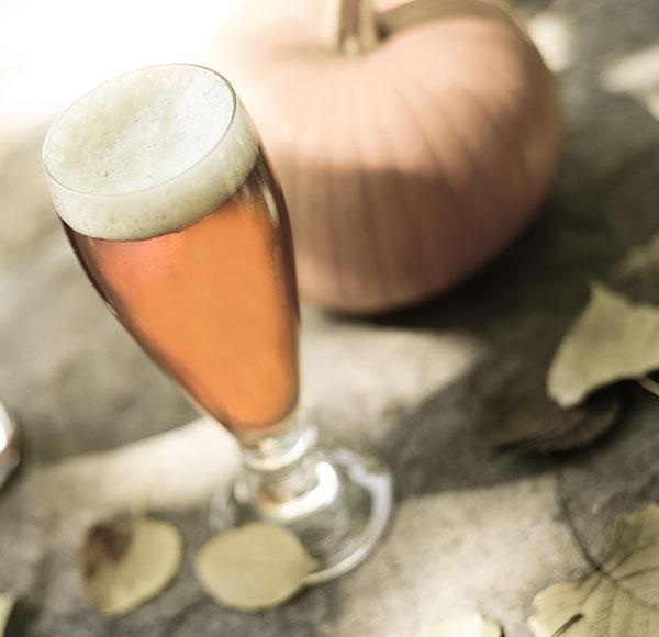 Pumpkin Homebrew Recipe