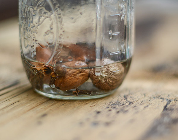 Mulled Beer